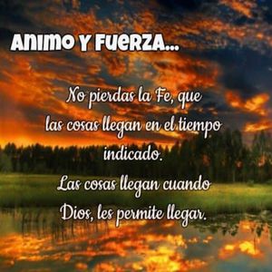 美女裸体啪啪啪十八禁网站
